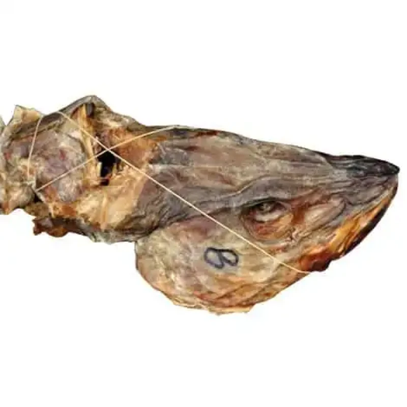 Stock Fish Head