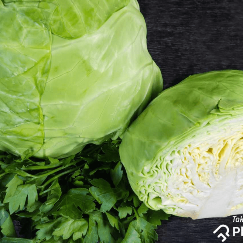 CABBAGE 500g