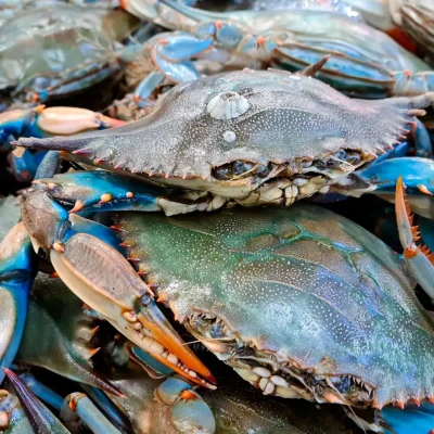 CRAB 500G