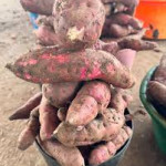 Sweet Potato 1kg