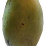 African Jaman Mangoes 1kg