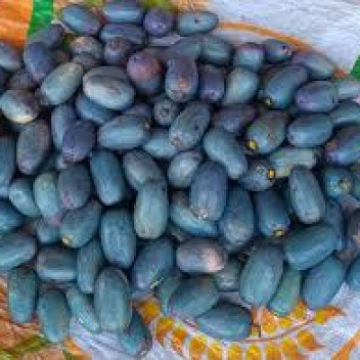 African Pear Fruit (ube)