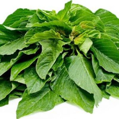 Green(efo shoko)