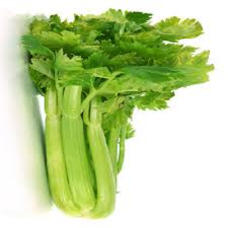 Celery 1 Kg