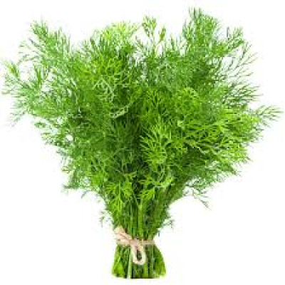 Dill 1 Kg