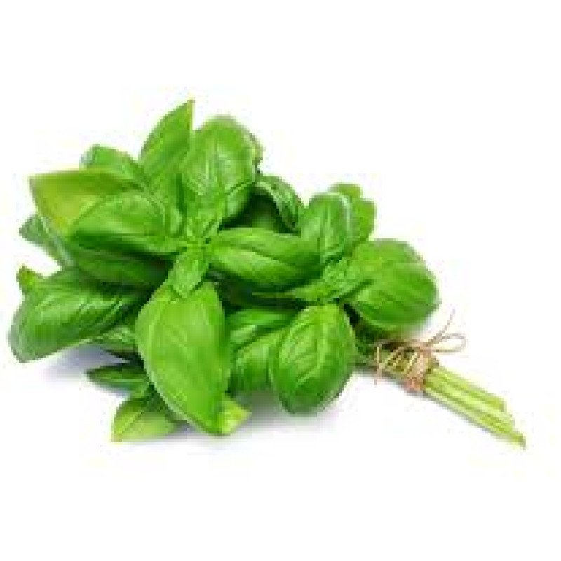 Basil 1 Kg