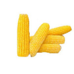 African Corn on the Corb 1 Kg (3 - 4 Pieces)