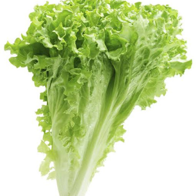 LETTUCE 100G