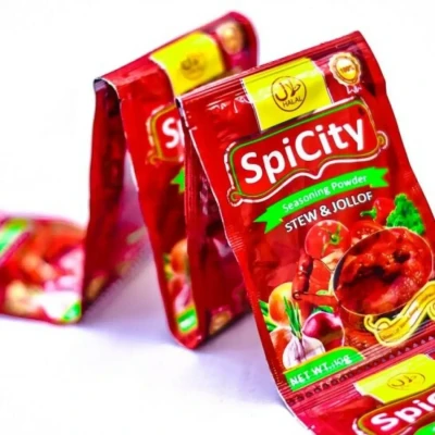 SpiCity Seasoning Powder 10g x 10sachet