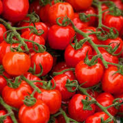 Fresh tomatoes 1kg