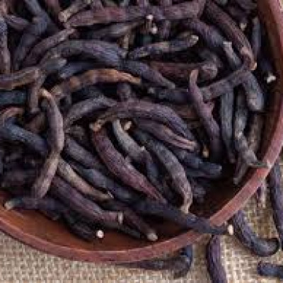 Uda seeds