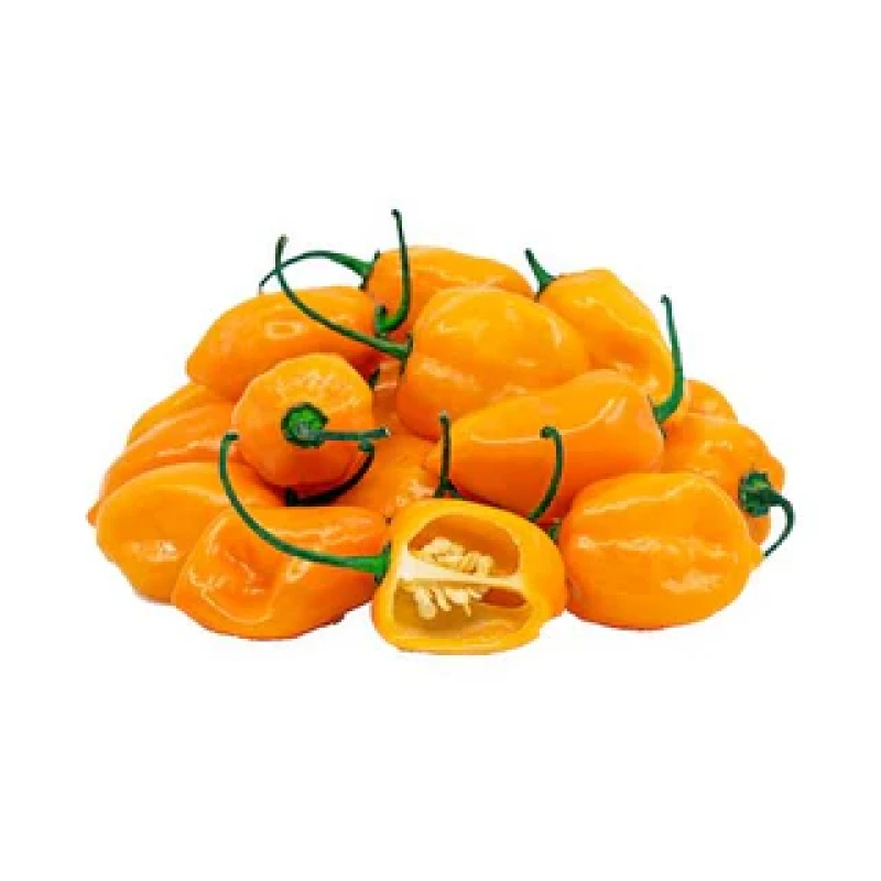 Yellow atarodo(yellow scotchbonnet pepper)1kg